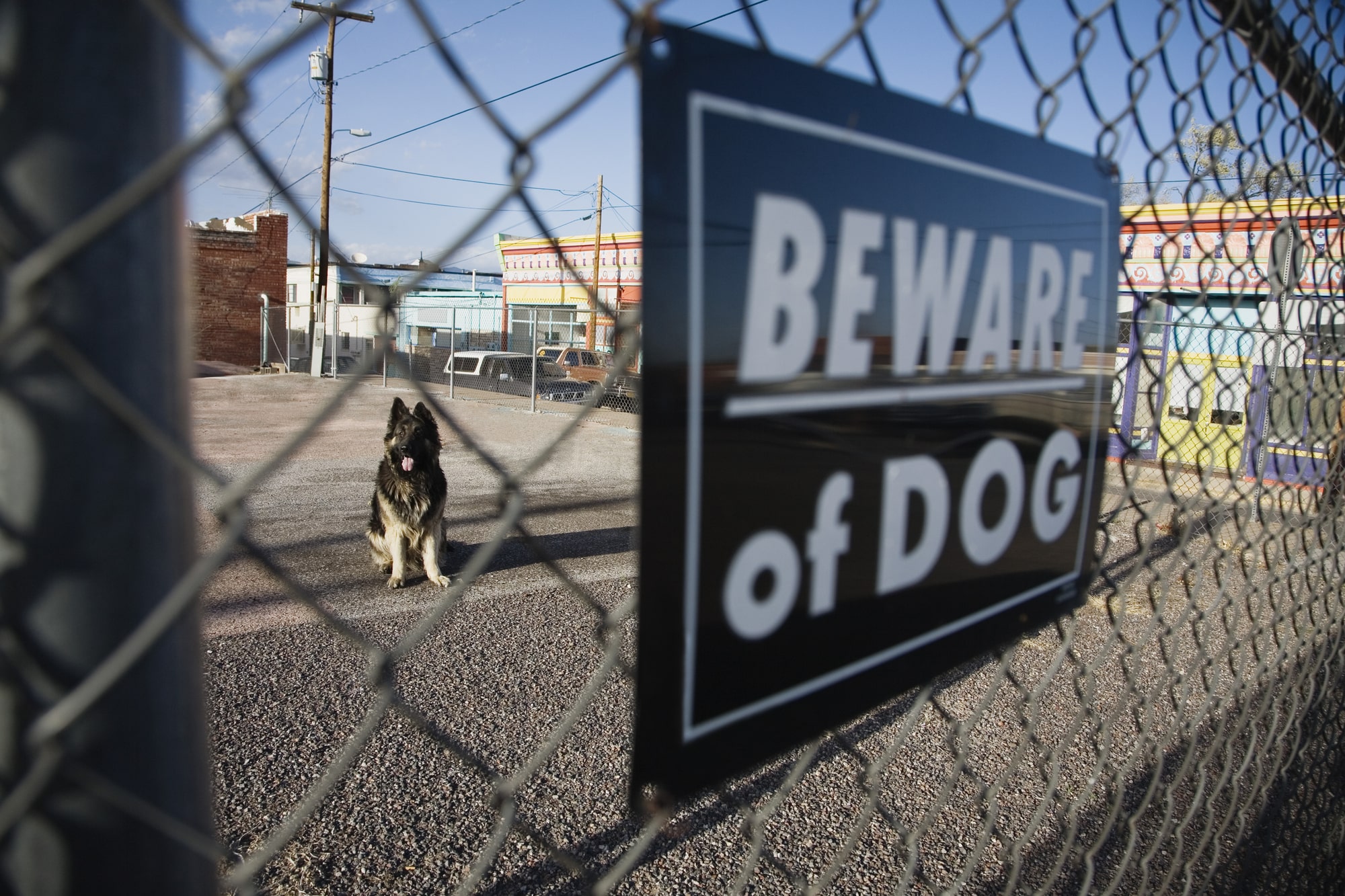 dog bite lawyer Jefferson, GA